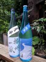 限定日本酒１.JPG